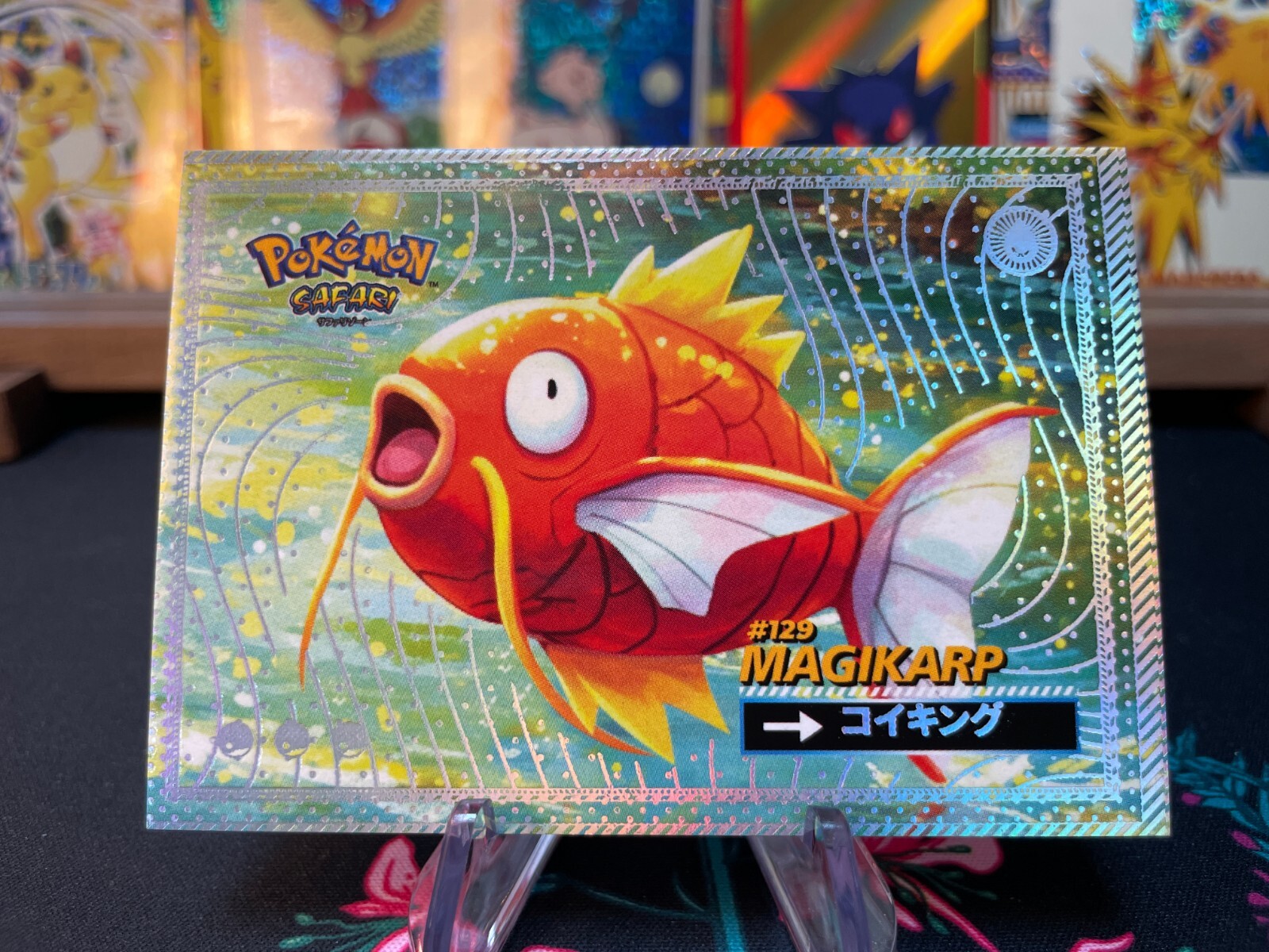 Magikarp #129- Silver Holo Box Hit - Flash Edition Safari 2025 - Pokemon Card