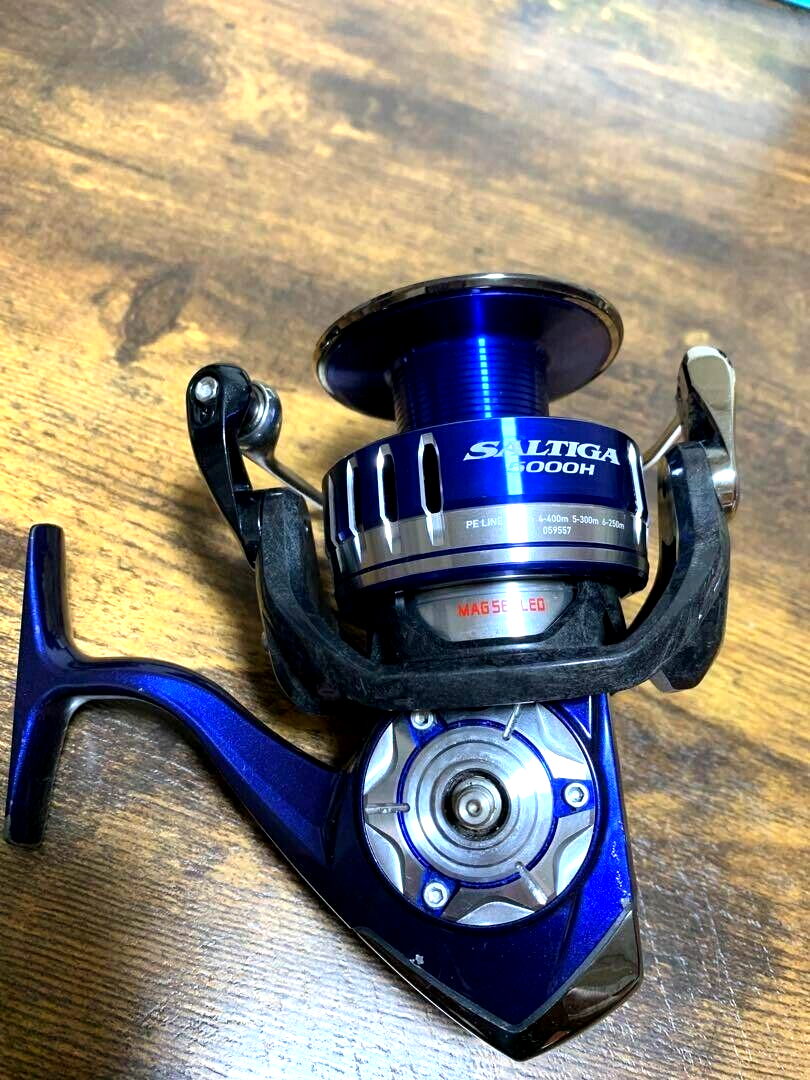 Excellent/Tested] DAIWA 14 SALTIGA 5500HｰEXP Spinning Reel From  