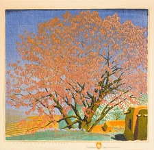 Gustave Baumann: Cottonwood Tassels 22x30 Archival Quality Fine Art Print