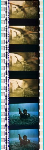 Jurassic Park 3 2001 Very Rare Unmounted 35mm Film Cells - Picture 8 of 51