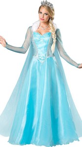 elsa cosplay adult