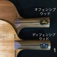 Table tennis racket Yasaka Stiga Shell Johansson