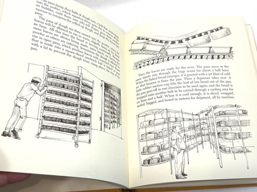 Das Brotbuch - Alles über Brot und wie man es macht von Carolyn Meyer HC DJ 1971 - Bild 6 von 10