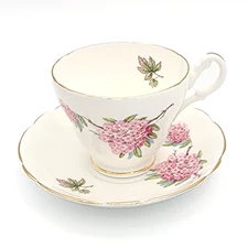 Regency Fine Bone China Teacup Saucer Set Pink Flowers Floral England Scalloped