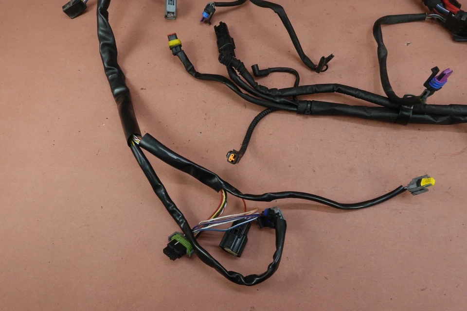 Arnés de cableado del motor principal Harley Davidson Heritage Softail FLSTC 2000-2011 Foto 3 de 4