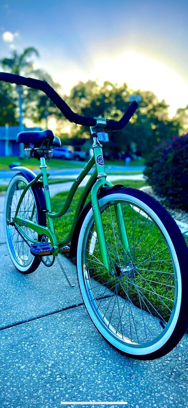 Jamis Earth Cruiser Beach Bicycle Mint Museum condition 90’s  Era Gorgeous Bike