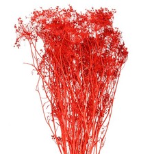 Eleganter Trockenblumen-Strau&szlig; f&uuml;r Dekoration und Hochzeitsideen