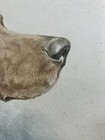Bild 7 von 12