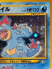 zamazenta pokemon card Pokemon Card Zamazenta V 019/028 E s8a RR 25th 2021 MINT Japanese q537