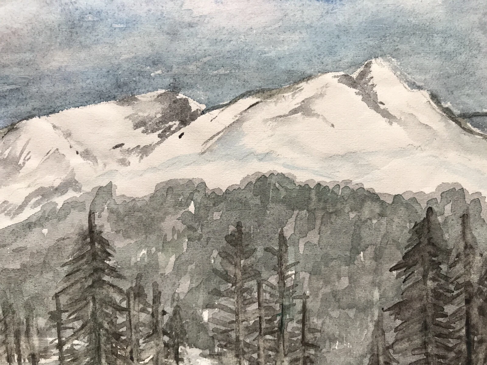 Picture 5 of 11