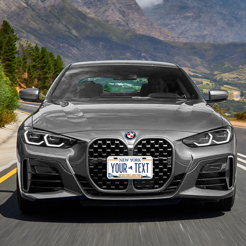 Custom state License Plates with personalized text Car 12x6- Moto 7x4 - Bike 6x3 - Picture 377 of 570