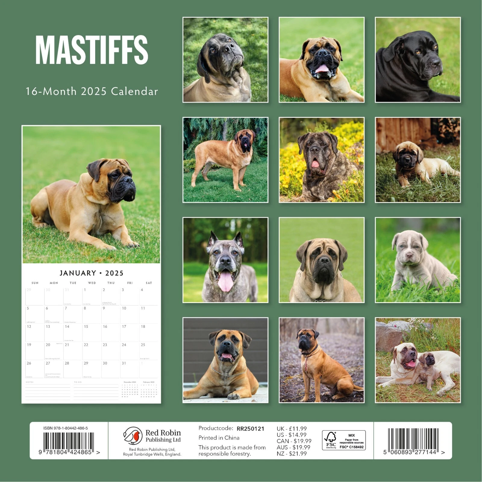Mastiffs 2025 Square Wall Calendar