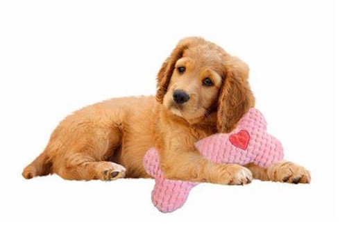 Warming Hug Hund weiches Plüsch Knochen Spielzeug beruhigender Lavendelduft mit Wärmebeutel - Bild 27 von 63