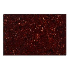 Musiclily 4Ply Tortoise 29x43cm Blank Guitar Bass Pickguard Material Sheet Plate