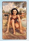 wall farm houses vintage reproduction Chinese ads Fun by the pool metal tin sign