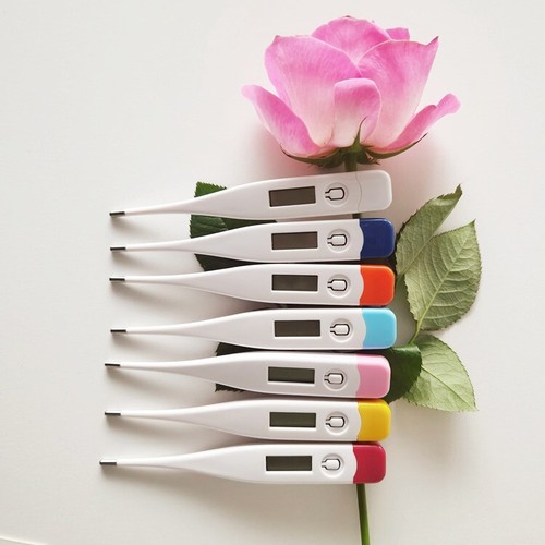 Digital Oral LCD Thermometer for Adults, Babies, and Kids - Picture 5 of 16