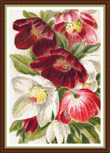 Christmas Roses 2 Cross Stitch Pattern 9 X13 Xmas Flowers Free Uk P P New Ebay