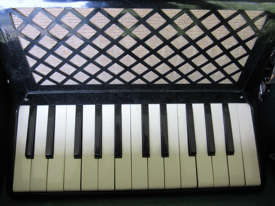 Vtg Black Camerano Piano Accordion 480/459 Italy w/Case - Image 2 of 4