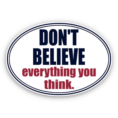 Don't Believe Everything Sticker, Fake News Decal for Laptops & Indoor Use