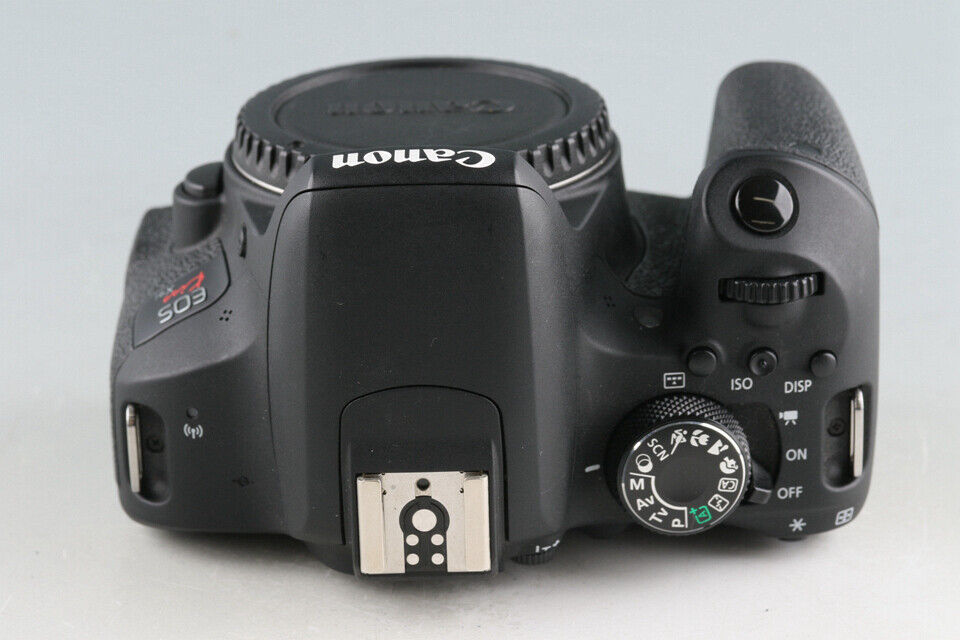 Canon EOS Kiss X9i + 18-55mm F/4-5.6 IS STM + 55-250mm F/4 Canon EOS Kiss X9i + 18-55mm F/4-5.6 IS STM + 55-250mm F/4