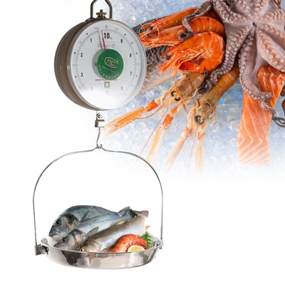 Scales - Seafood Scale