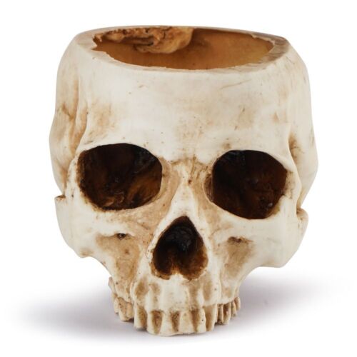 Office For Home Decor Fake Skull Skull Flower Pot Candy Bowl Skull Planter - Picture 1 of 12