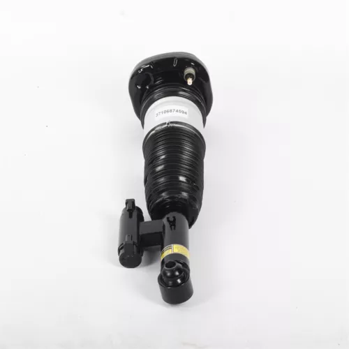 Amortiguador de suspensión neumática trasera izquierda EDC apto para BMW Serie 7 G11 G12 730i 740i 750i - Imagen 4 de 11