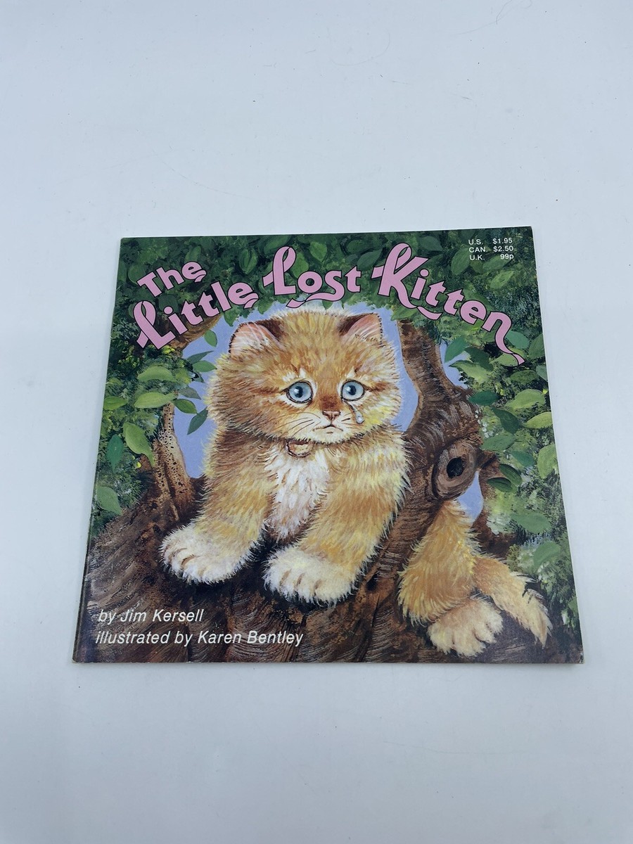 THE LITTLE LOST KITTEN 1990 Book
