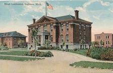 Blind Institution Saginaw MI, Michigan - pm 1913 - DB - Parcel Post Stamp sc Q1