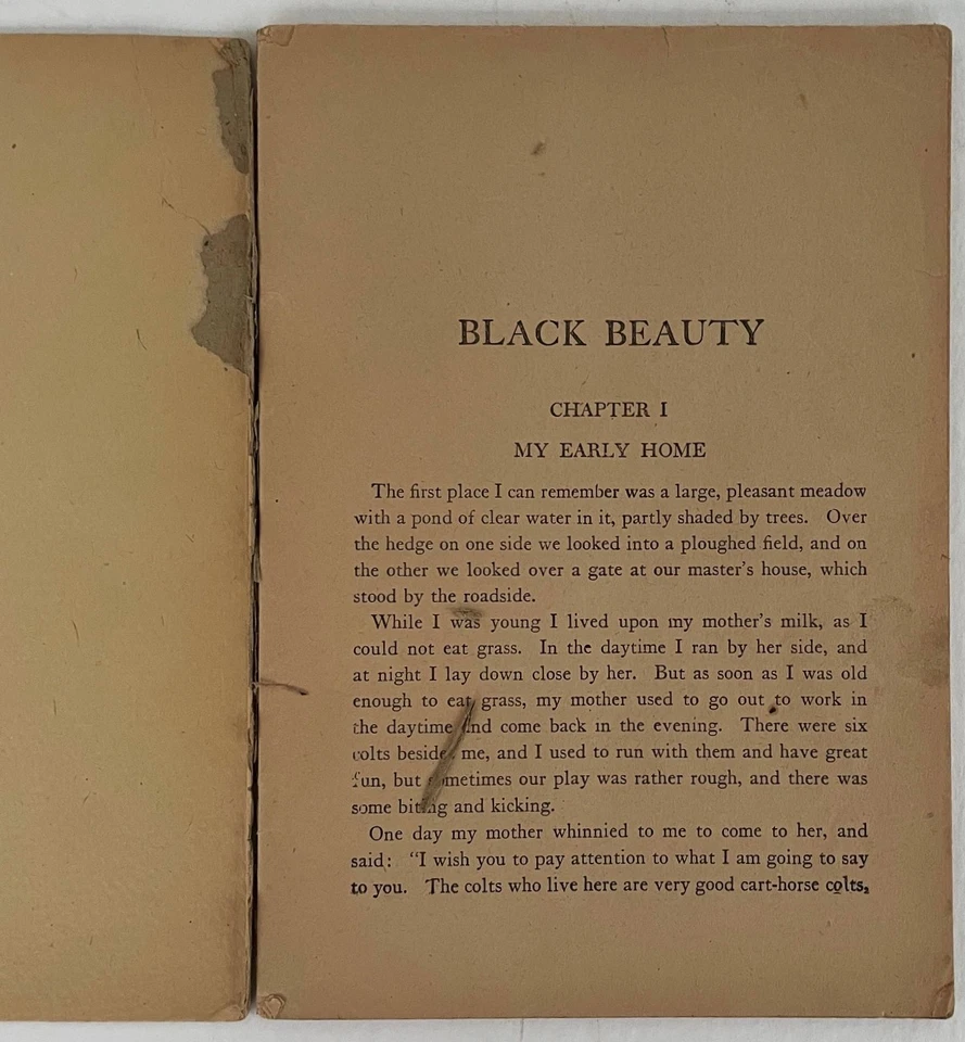 Lady and Horse - Black Beauty Magazine - R Atkinson Fox - Bild 3 von 4