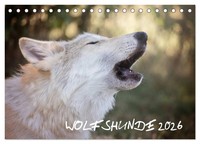 Artness Photographie | Wolfshunde 2026 (Tischkalender 2026 DIN A5 Quer),...