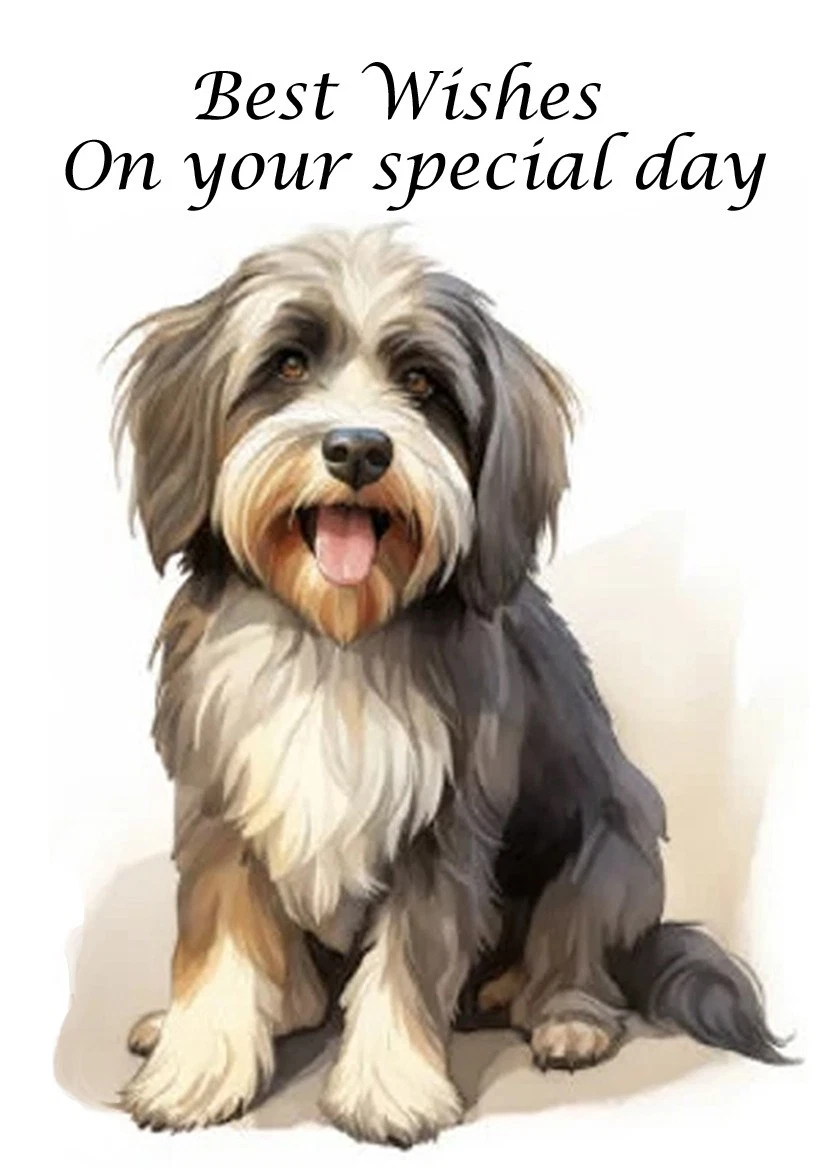 Tibetan Terrier breeders and puppies in Vienna