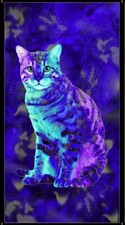 24" X 44" Panel Kittens Cats Animals Royal Blue Cotton Fabric Panel D586.71