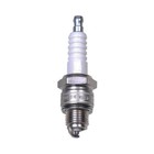 Spark Plugs & Glow Plugs for Buick Special