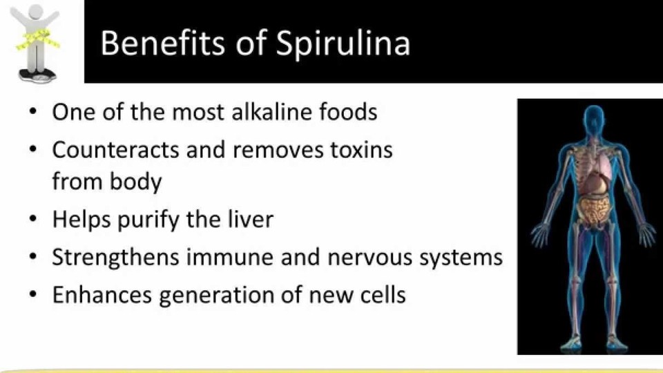 parasite cleanse ANTIPARASITE SPIRULINA COMBO 2B black walnut