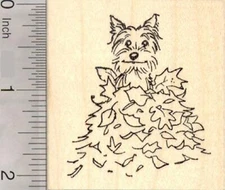 Terrier Dog Sitting in Autumn Leaves, Thanksgiving Rubber Stamp J19007 WM