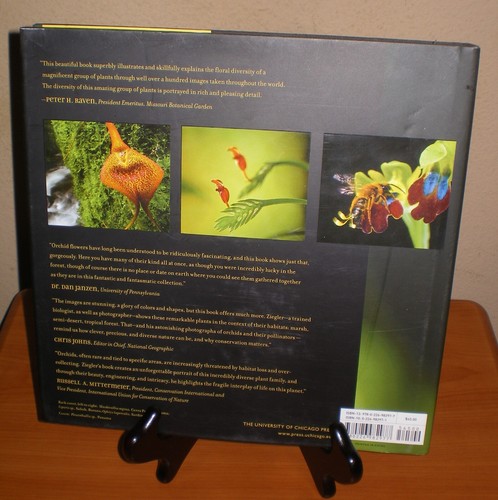 Deceptive Beauties ~ the World of WILD ORCHIDS by Ziegler * Rare Flowers HC/DJ - Picture 2 of 9