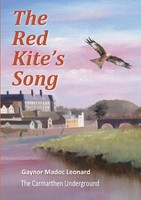Gaynor Madoc Leonard | The Red Kite's Song | Taschenbuch | Englisch (2015)