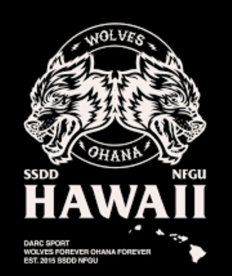 Wolves Club Stickers Darc Sports SURF TEAM Sticker Volcom team Decals RVCA Koa - Image 2 of 4