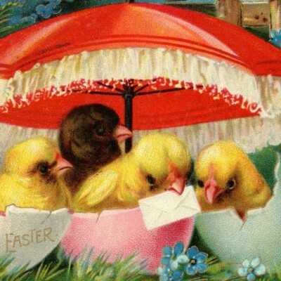 c.1910 VTG Easter Postcard Four Yellow Brown Chicks Hatching Under Umbrella