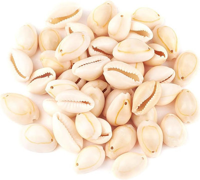 50Pcs White Natural Spiral Shell Beads Sea Shells Beach Spacer Beads Charms Cowr