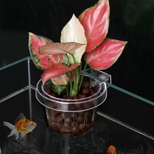 Round Fish Tank Grass Cup Wall Mounted Aquatic Plant Holder  Aquarium Use