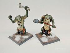 Warhammer Common Trolls Lot Set of 2 Pro Painted Metal