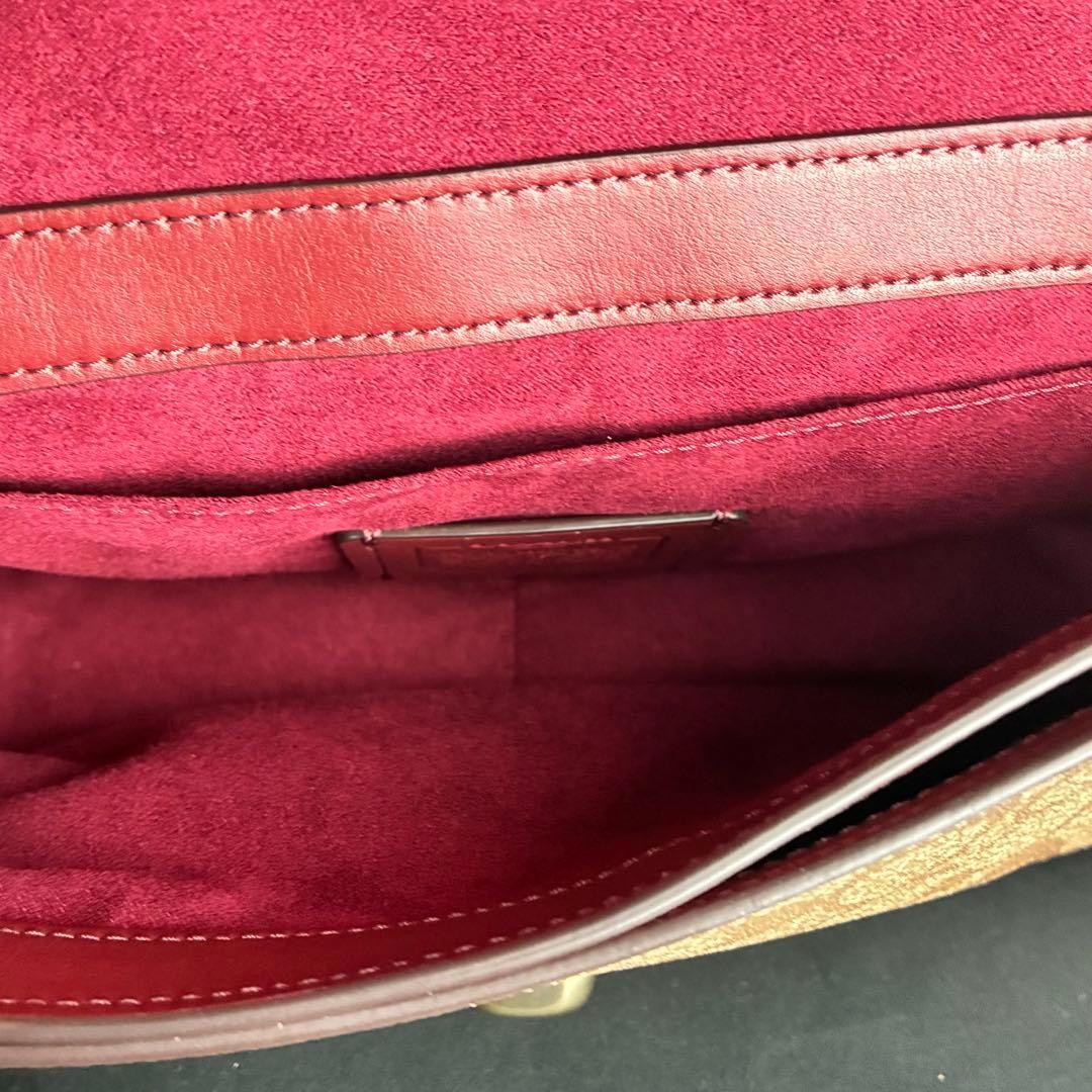 Coach Signature Python Pattern Chain Shoulder Bag… - image 9