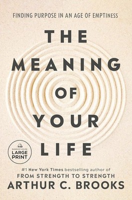 The Meaning of Your Life: Finding Purpose in an Age of Emptiness Paperback