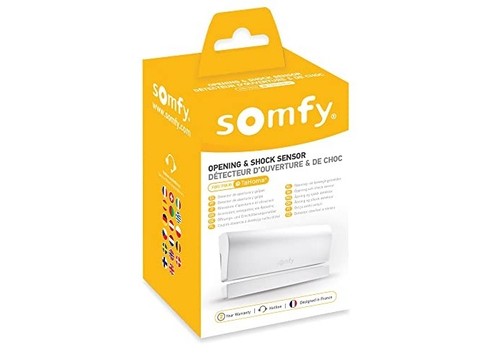 Somfy 2401362 IO Funk Öffnungsmelder Tür