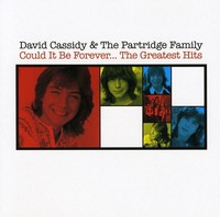 David Cassidy: David Cassidy: Could It Be Forever: Th - Sony - (Cd / C)
