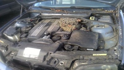 Chassis ECM Transmission M56 265S6 Engine Slev Fits 05 BMW 325i 27995479