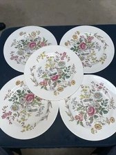 Spode China Romney Pattern Dinner Plates Lot Of 5 NOS - 10.5”