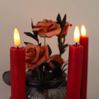 Bild 6 von 12